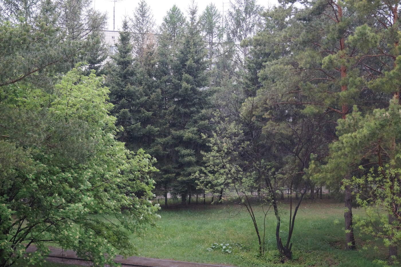 Blick aus dem Fenster