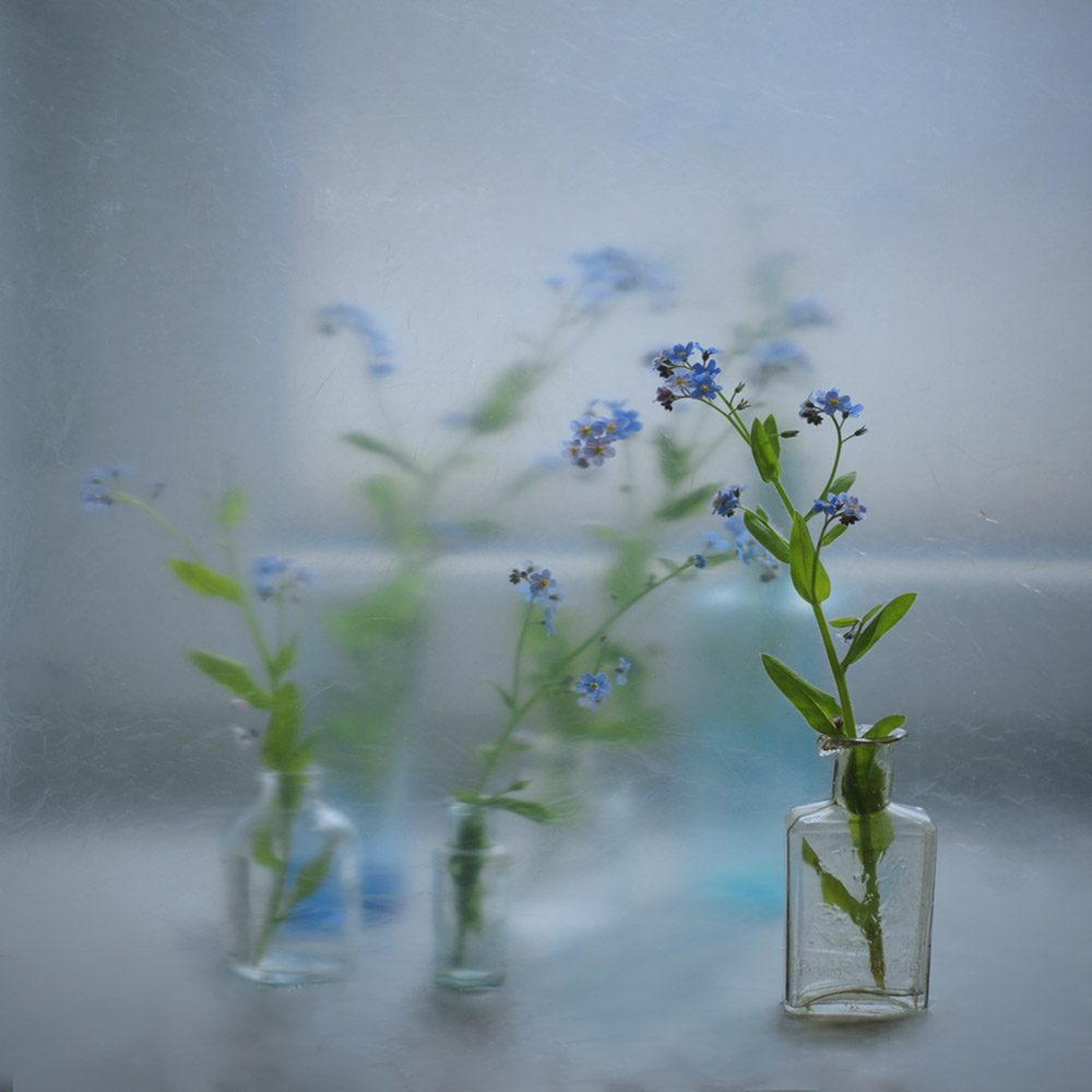 Mit dem forget-me ...