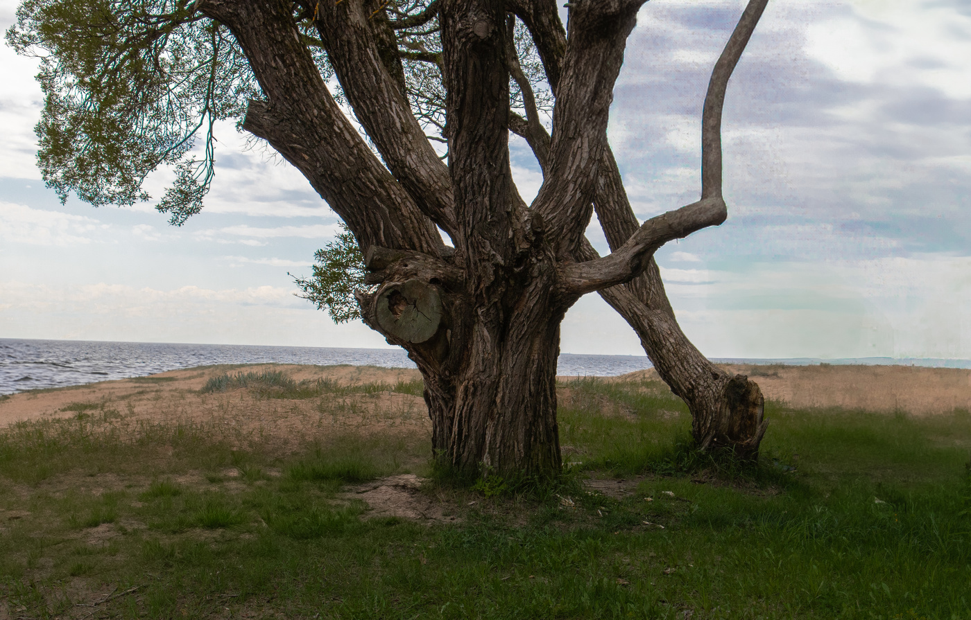 Finnischen Meerbusen
