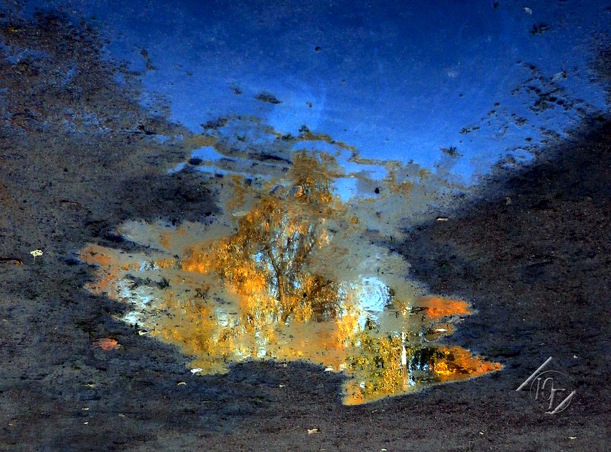 Reflexion der Herbst