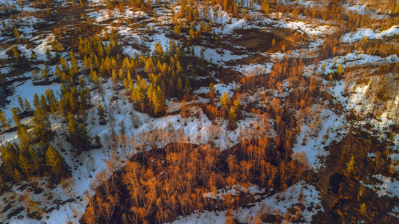 Farben der Morgenröte