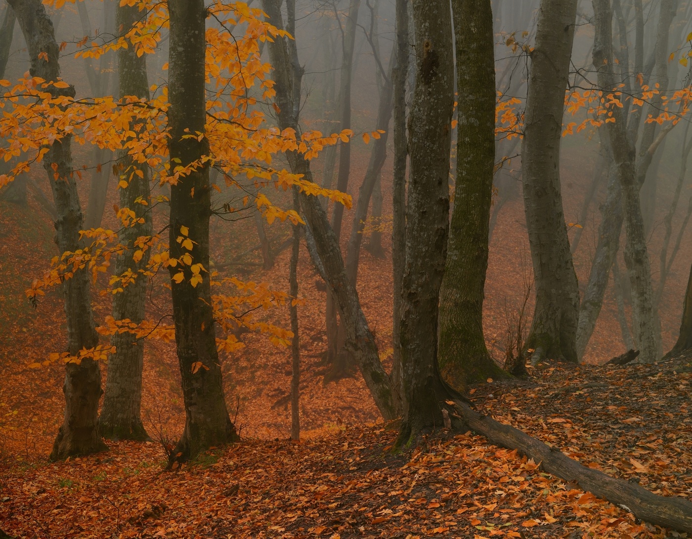 Sonnenaufgang über dem Fluss