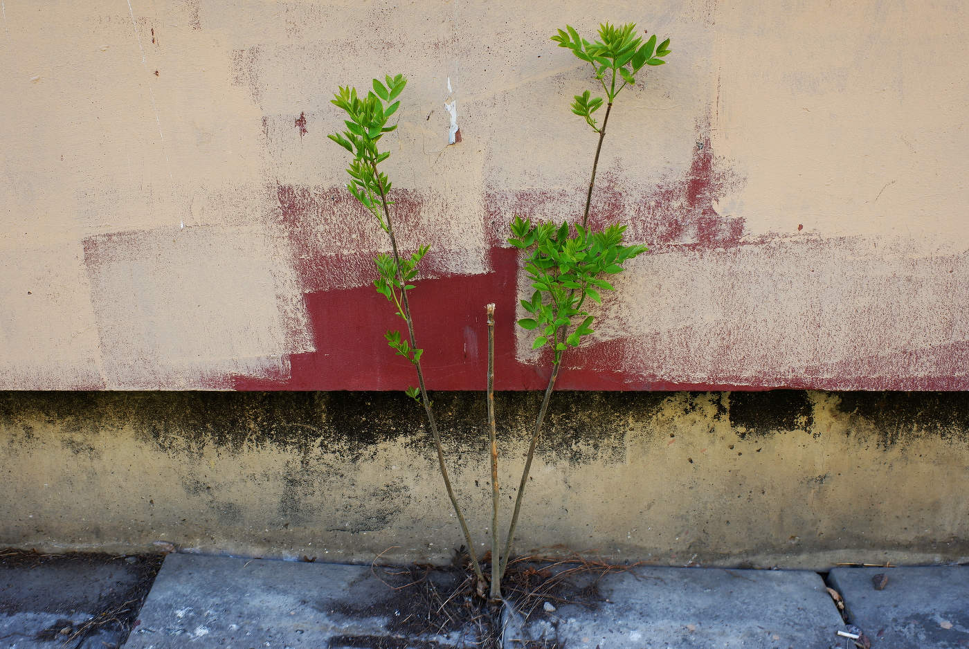 Unfinished Landschaft