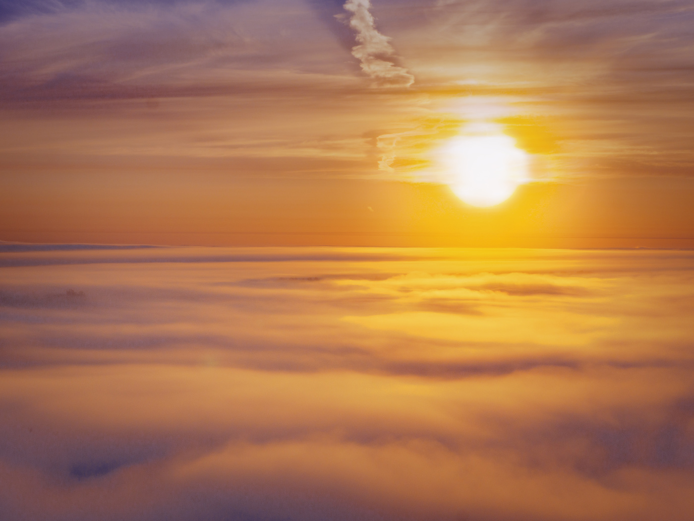 Sonnenaufgang im Wald