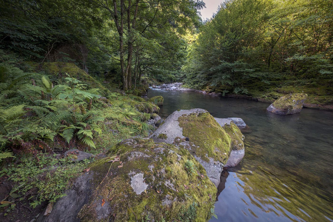Stones In Chakvistskali River