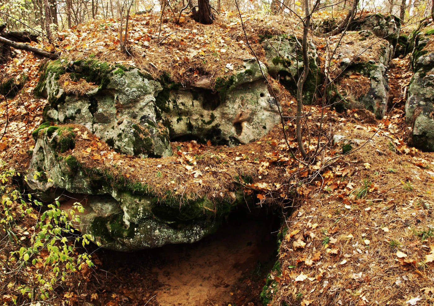 Der schlafende Drache
