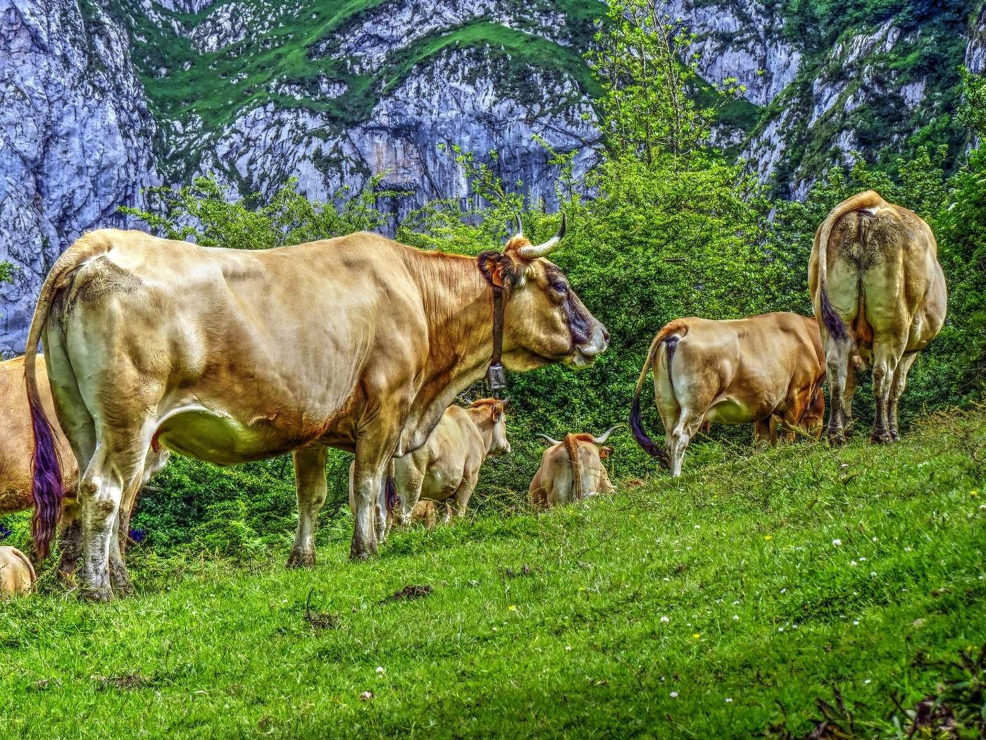 Amieva - La Cuenca del Dobra - Astúries