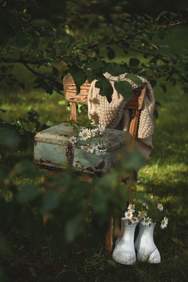 Mit Gänseblümchen ...