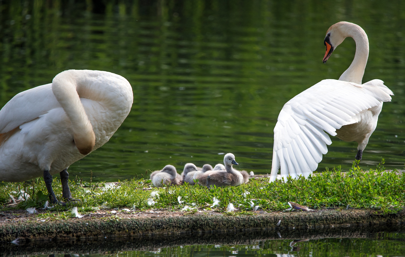 Auf einem kleinen Floß.