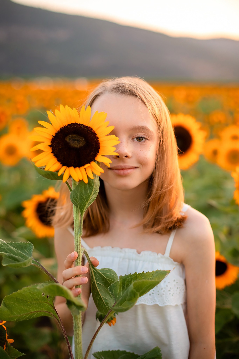 Photoshoot in sunflowers
