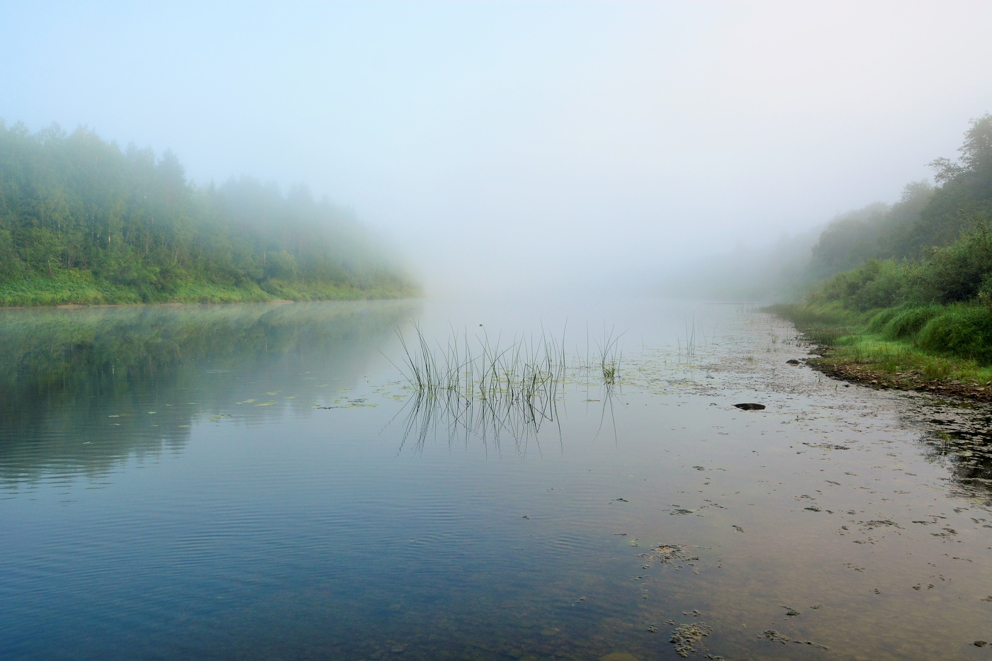 Morgen auf dem Fluss