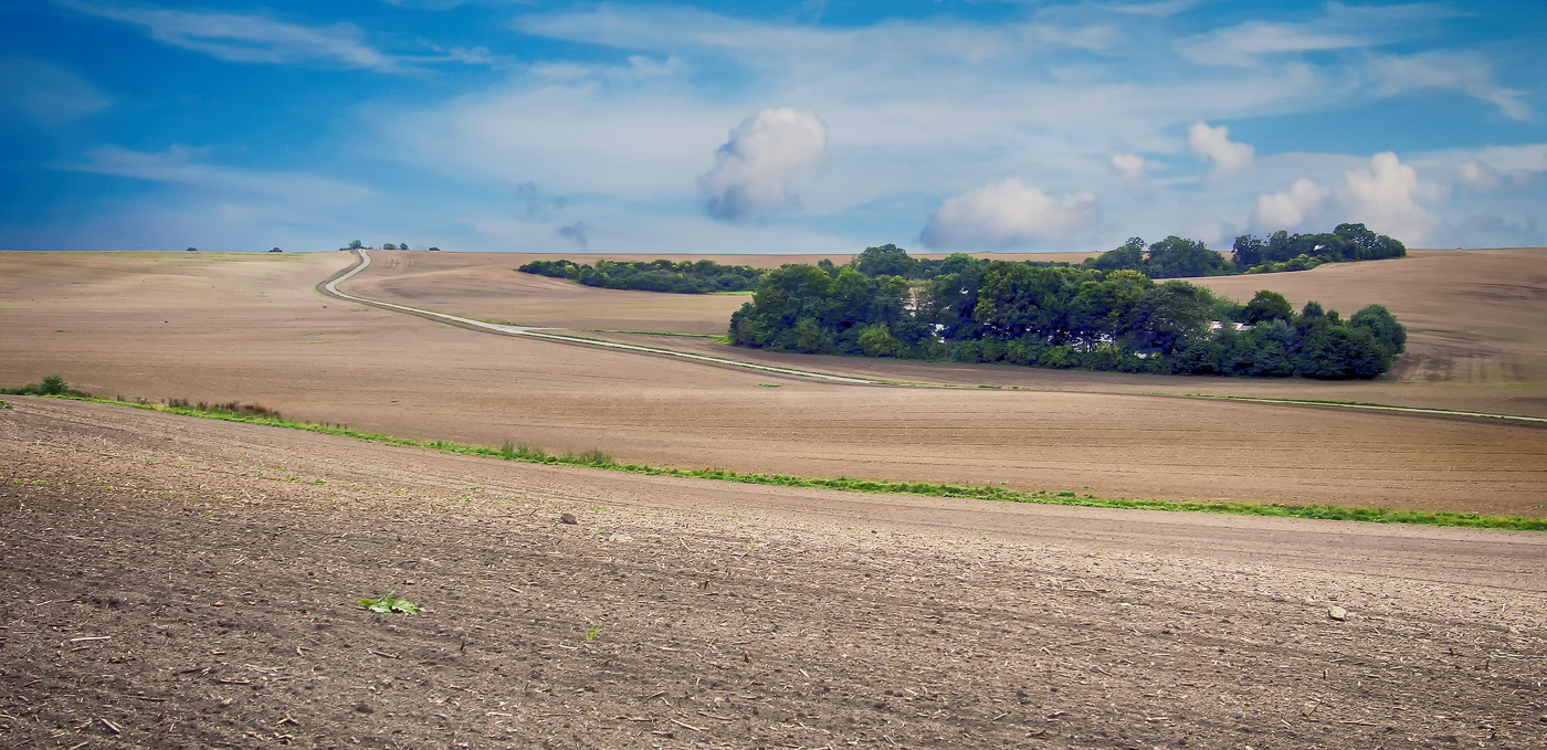 Straße in einem Feld