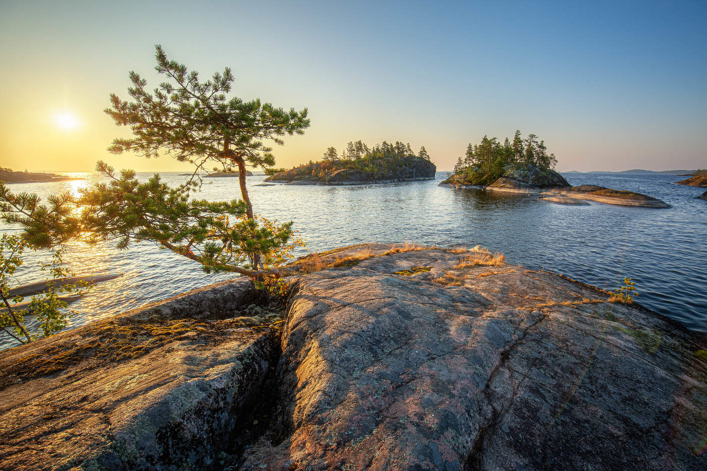 Sonnenaufgang im Wald