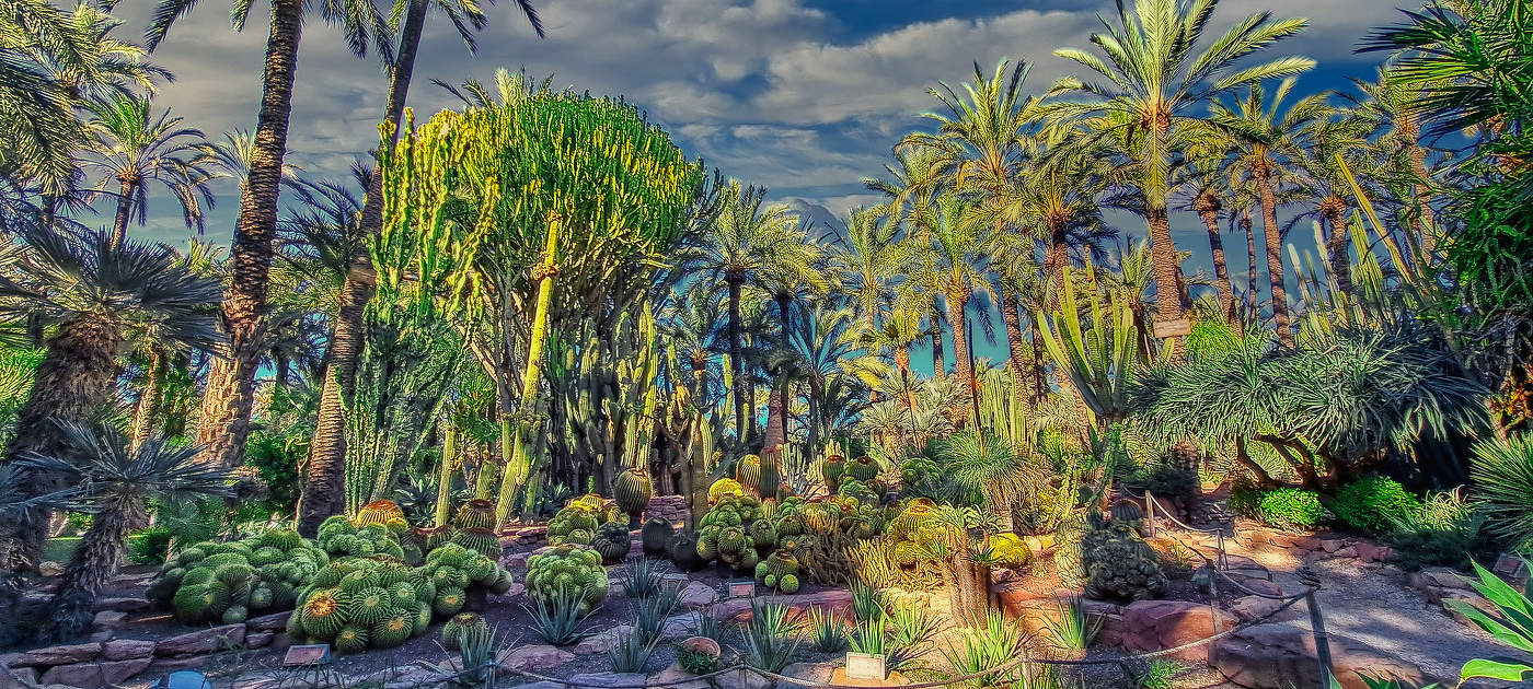 Elx - L'Hort del Cura - Baix Vinalopó