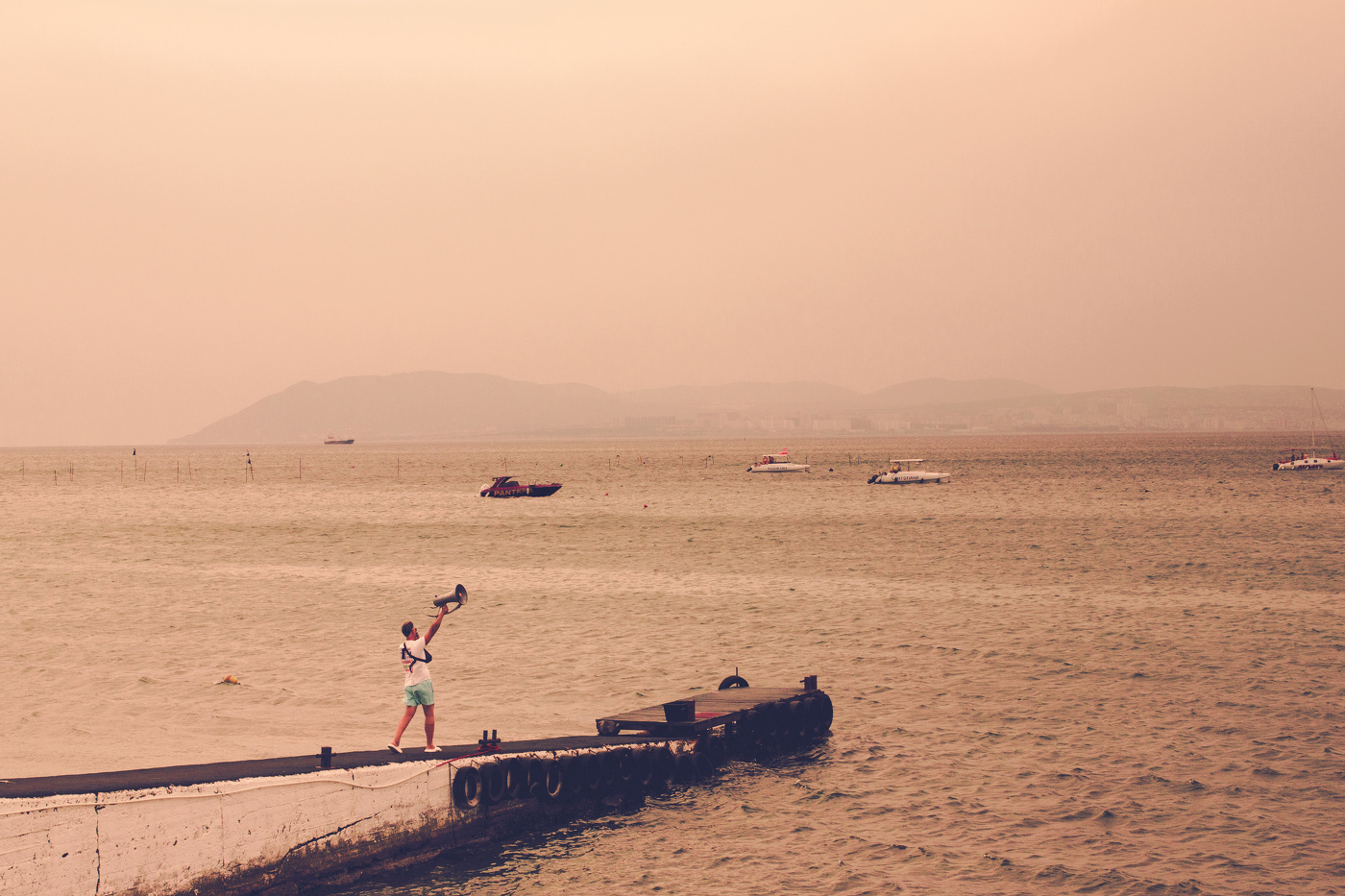 How Much Is The Fish ?