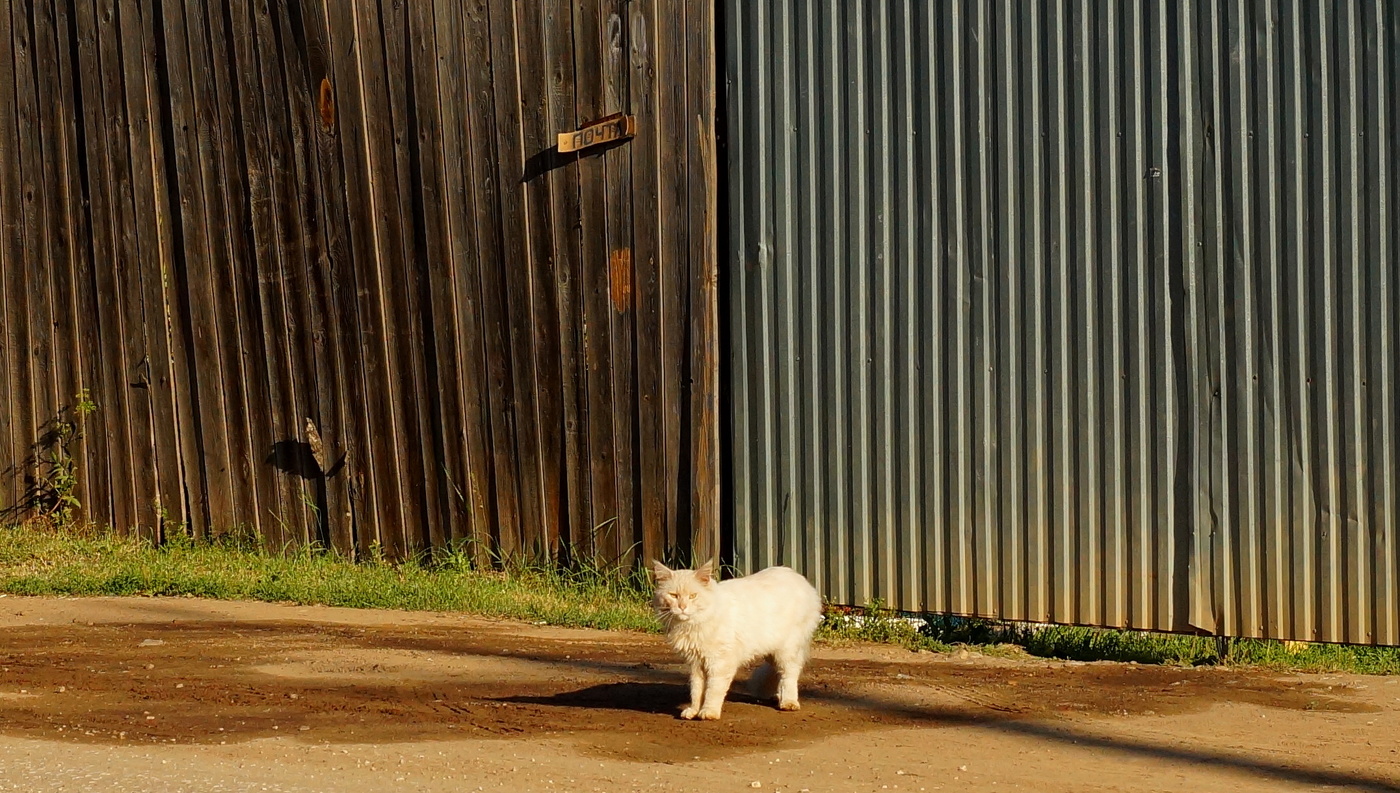 Briefe schreiben ...