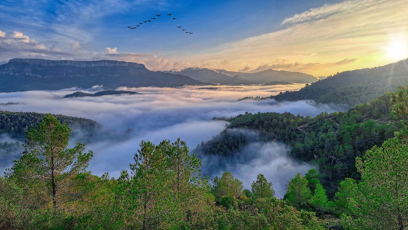 Pradell de la Teixeta - Coll Teixeta (Mola al fons) - Priorat