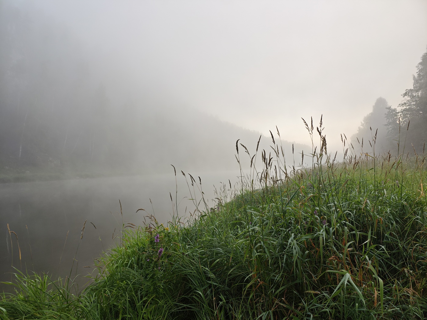 Morgen auf dem Fluss