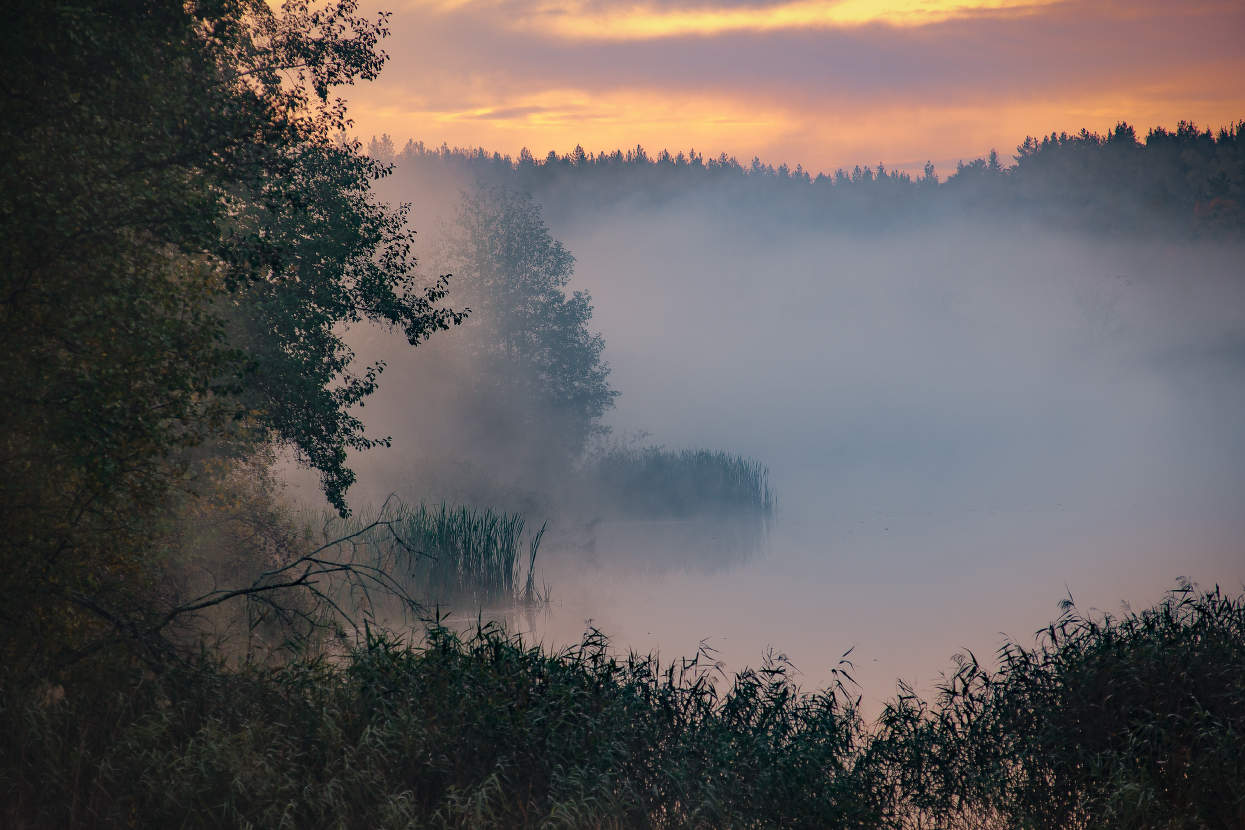 in den herbstlichen Wald