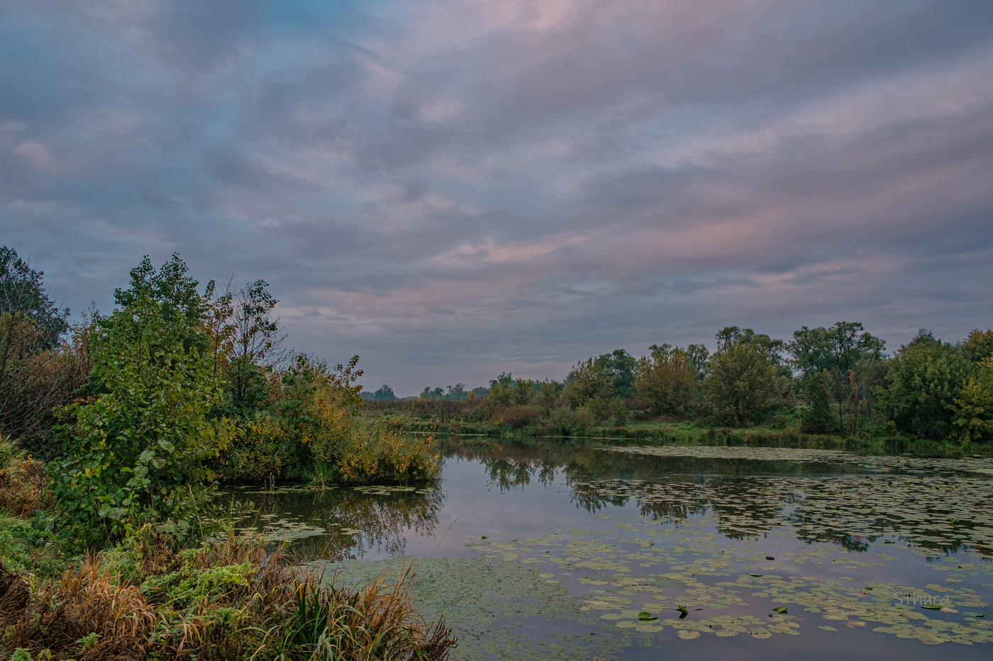 In der Morgendämmerung.