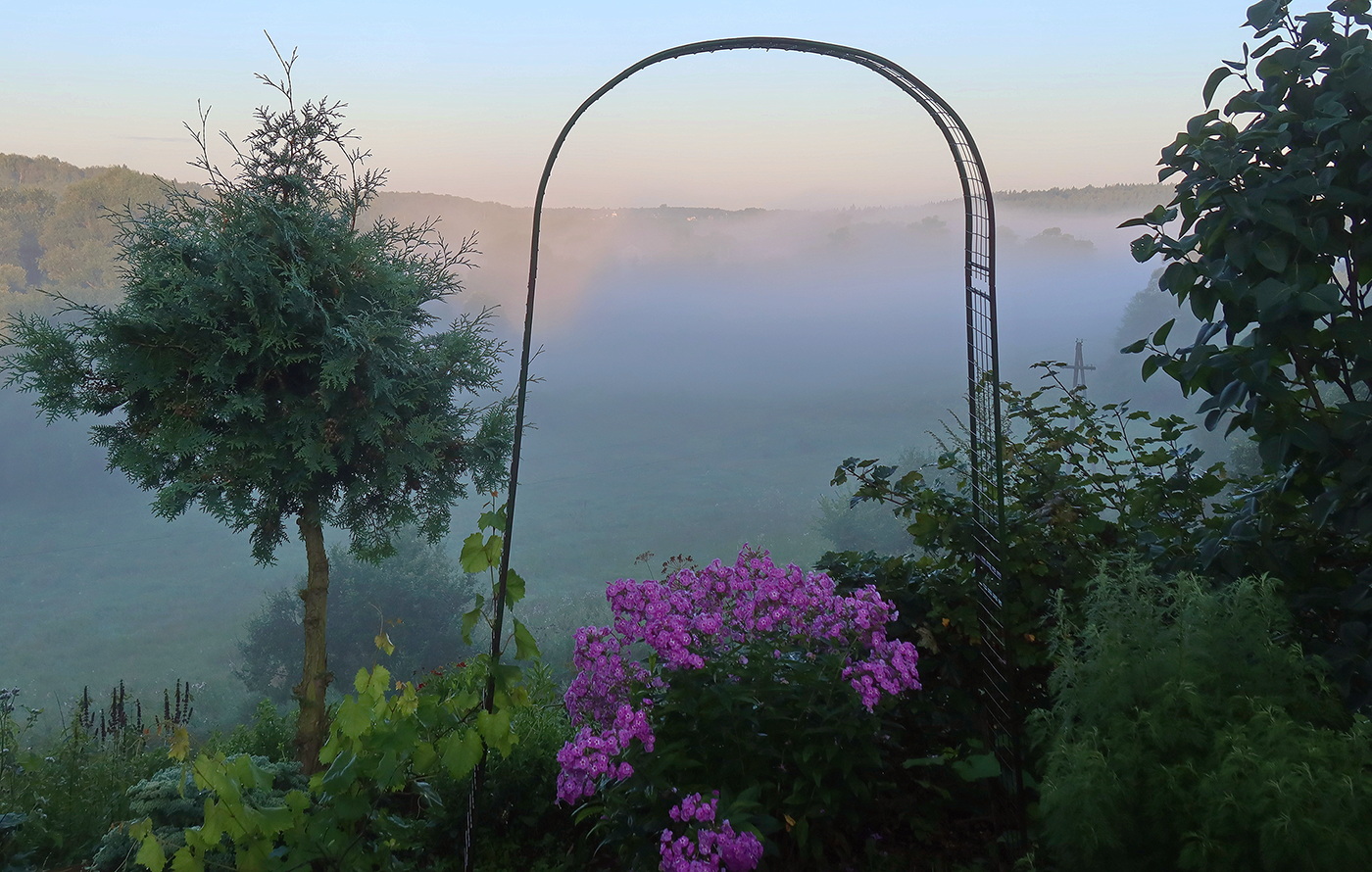 Die Straße im Morgennebel