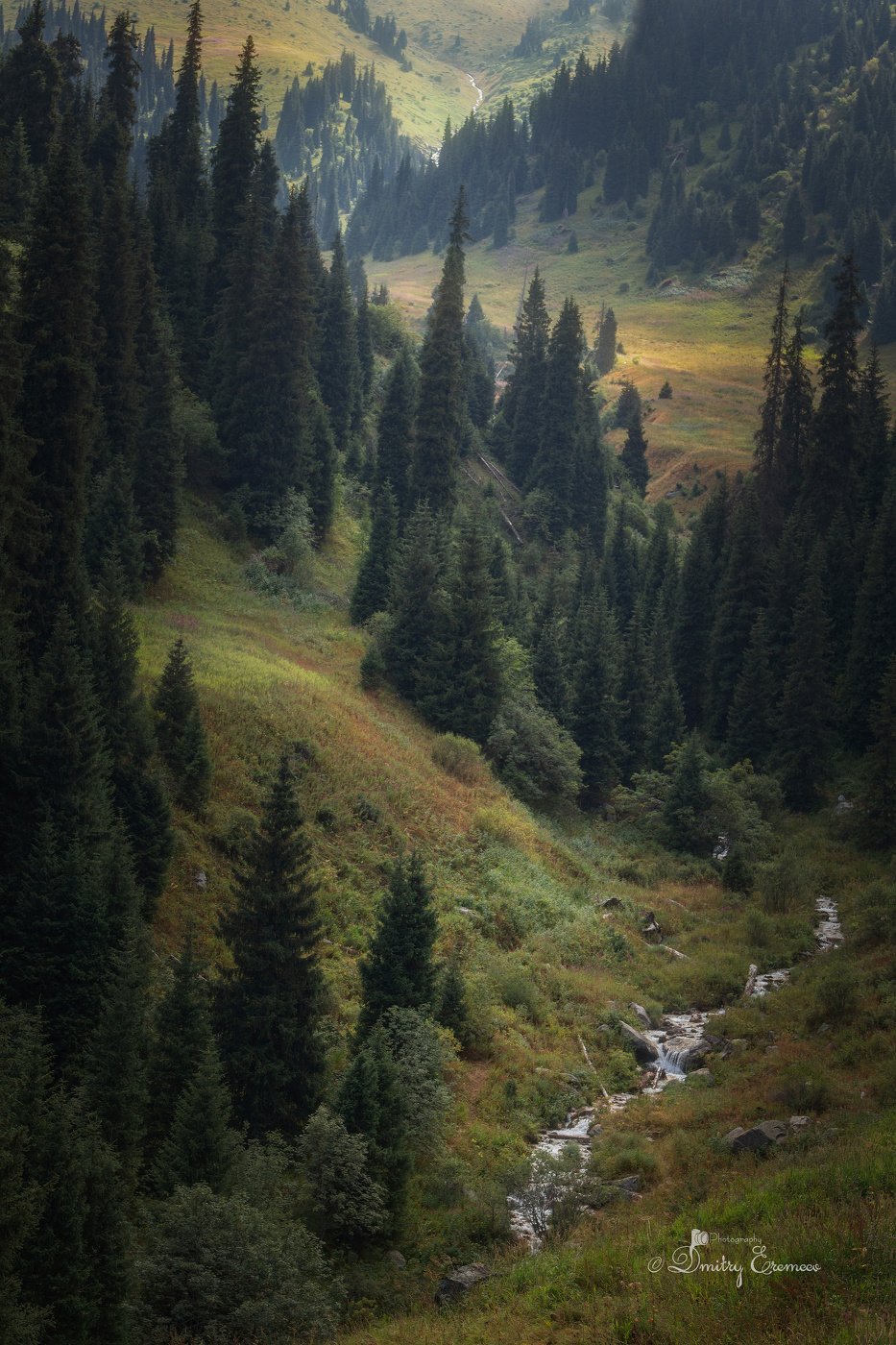 höher und höher ...