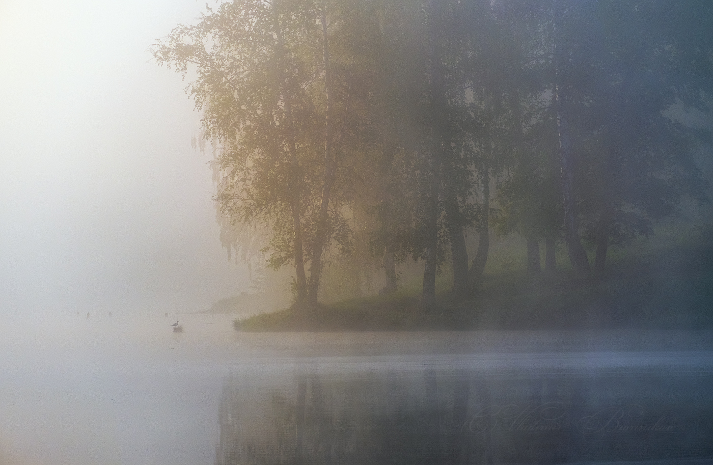 Misty Morgen, Morgen sedoe ...