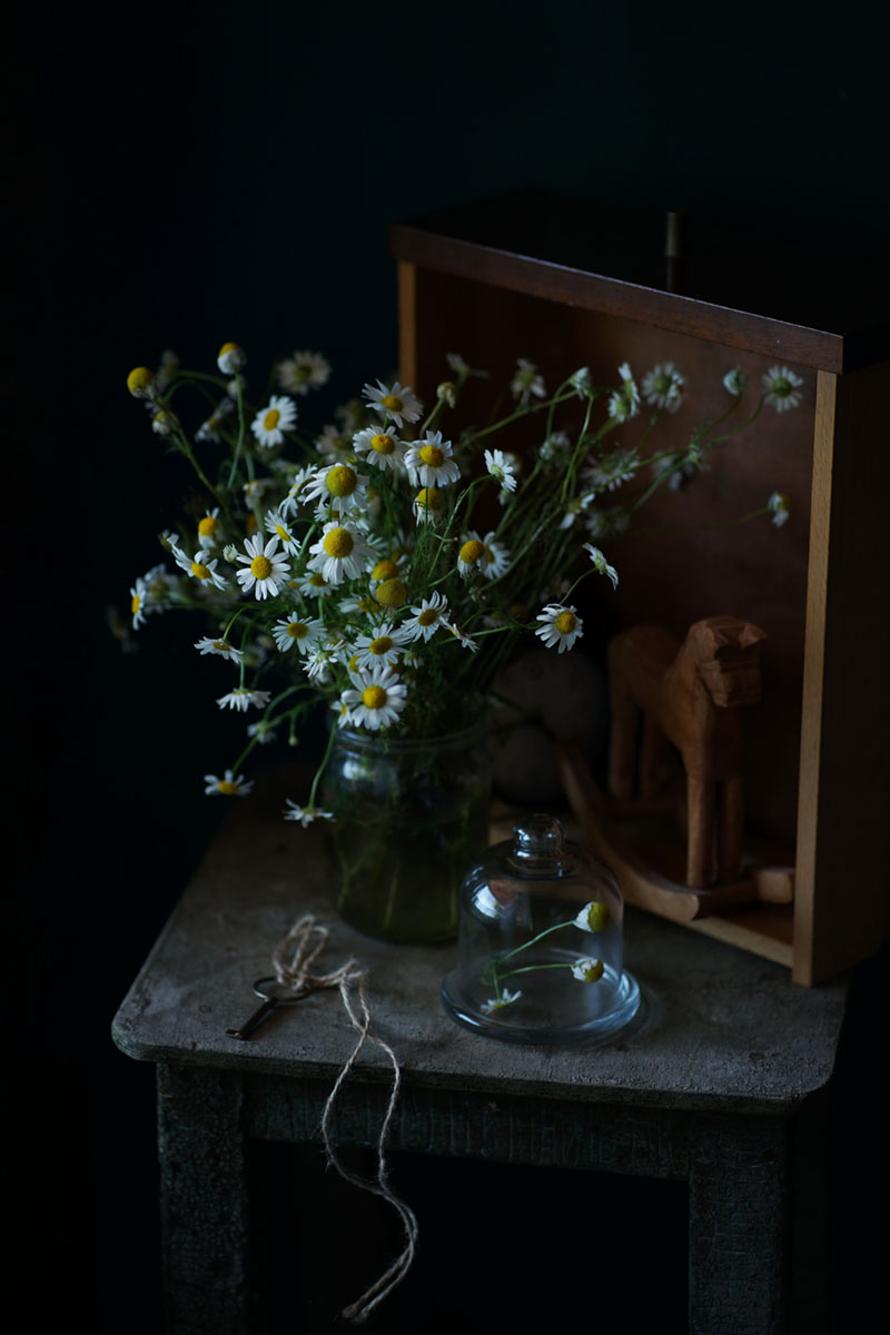 Mit Gänseblümchen ...