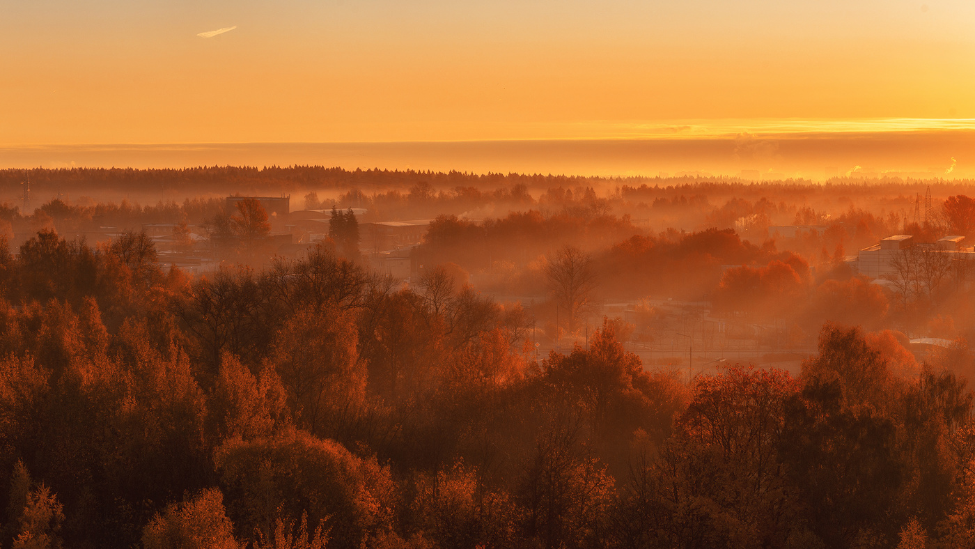 Sonnenaufgang im Wald