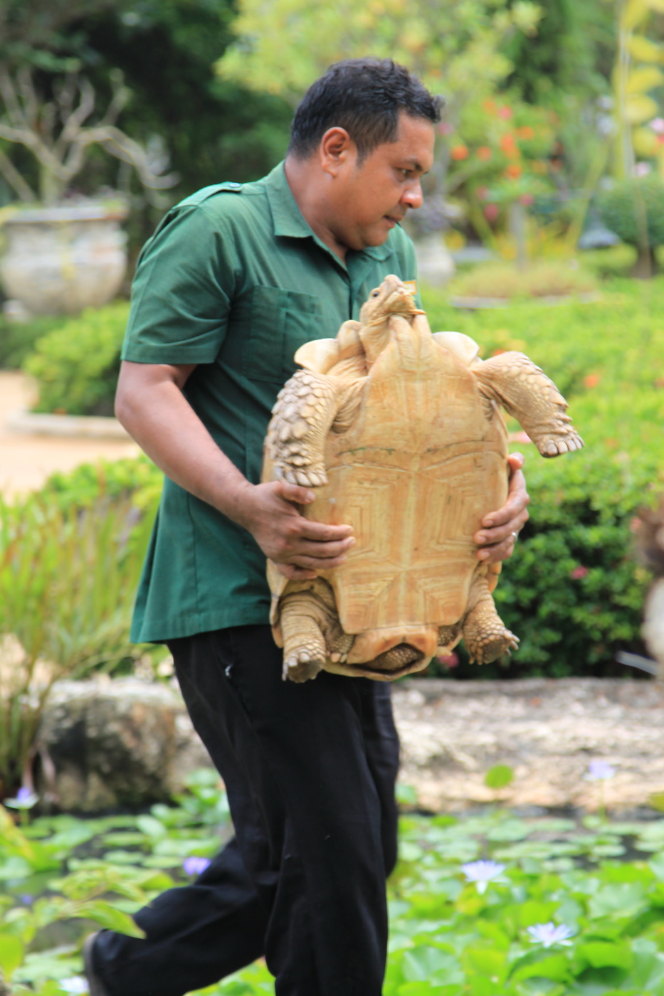 Für einen Spaziergang