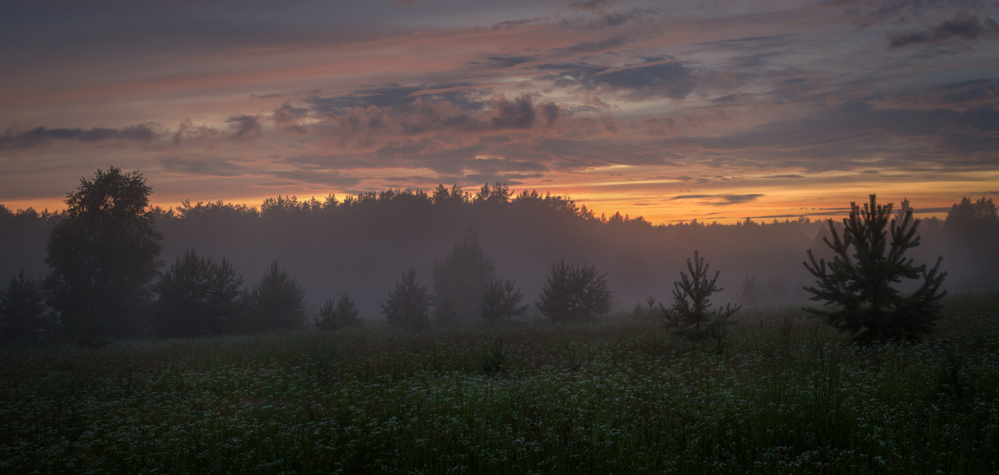 Abend auf dem Gebiet