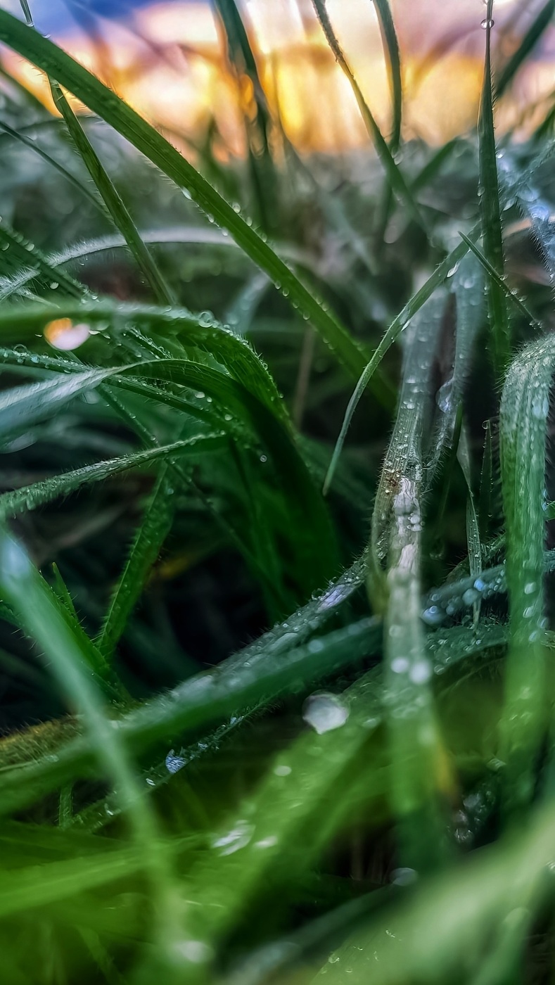 Bei Sonnenuntergang nach regen