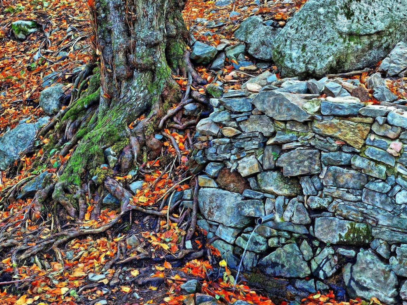 Matagalls - Montseny - Osona