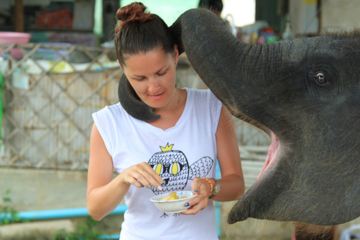 Zärtlichkeit der Natur