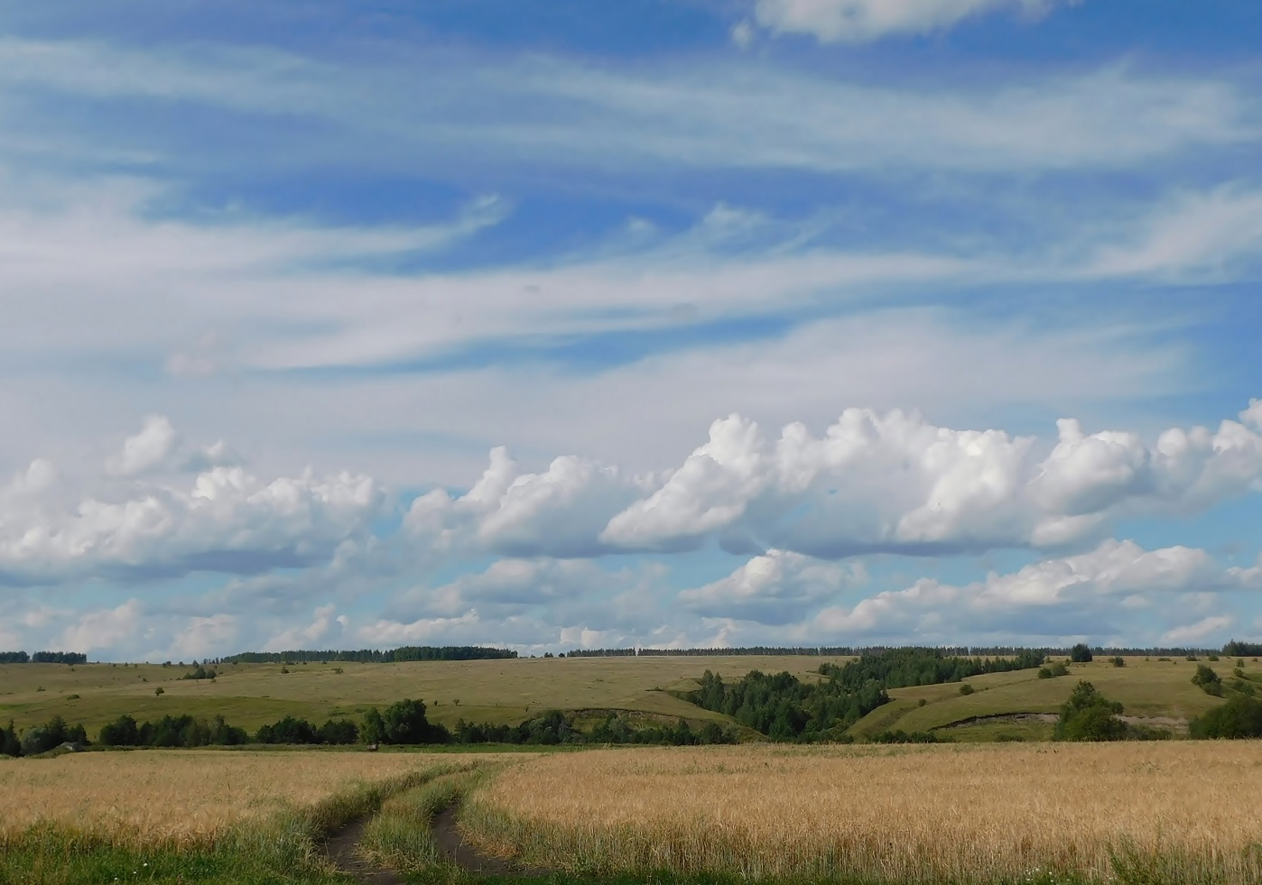 Straße in einem Feld