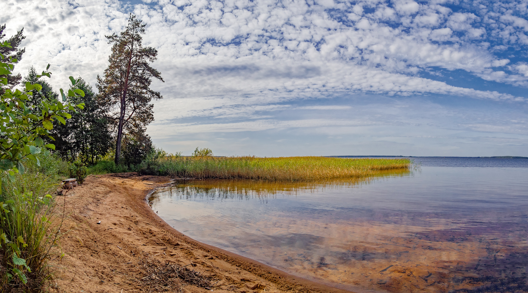 Spaziergänge auf dem Wasser