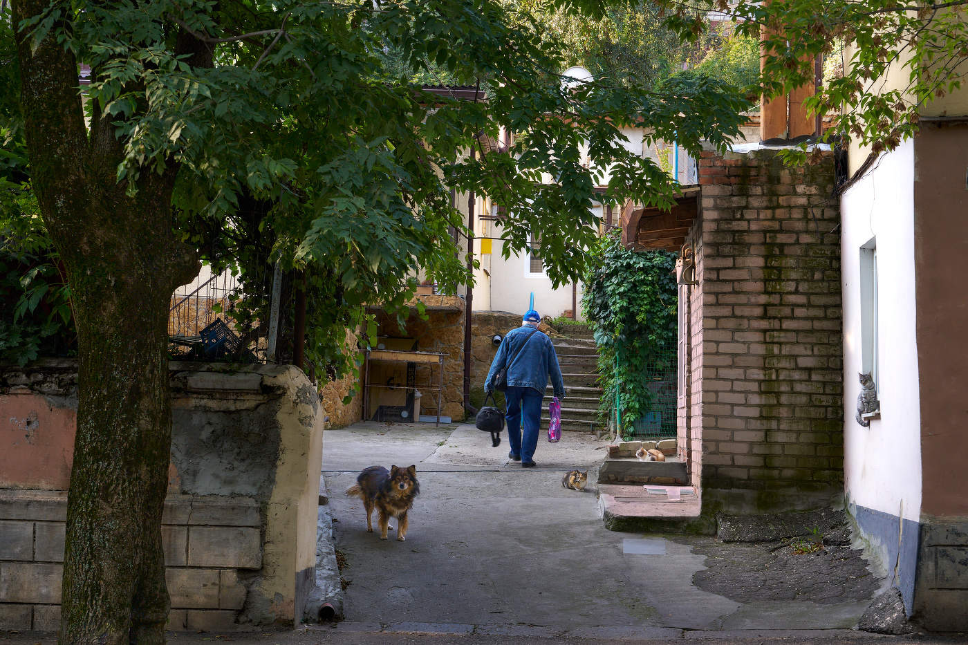 Die Jungs aus unserem Hof