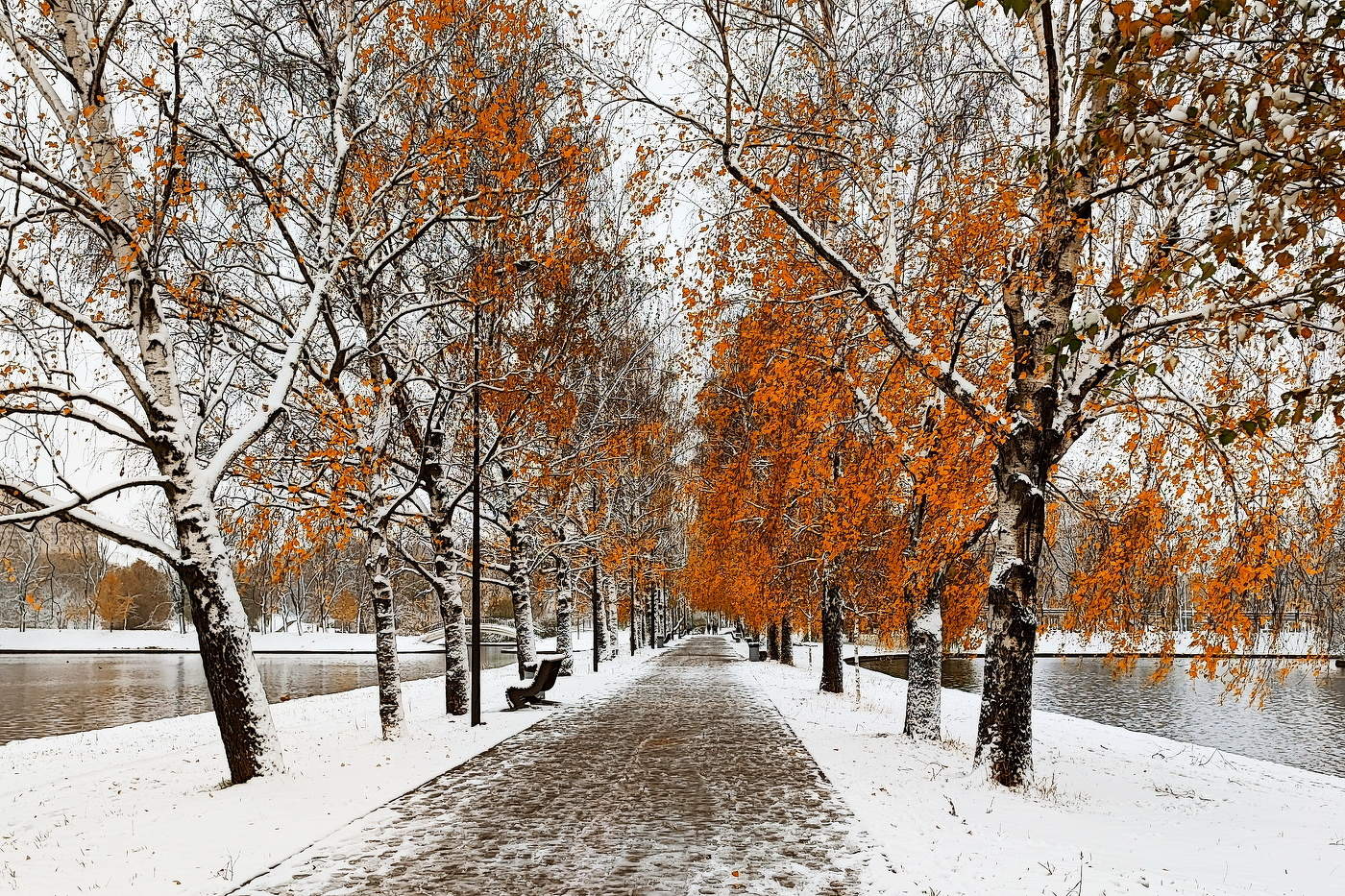 In den goldenen Herbst