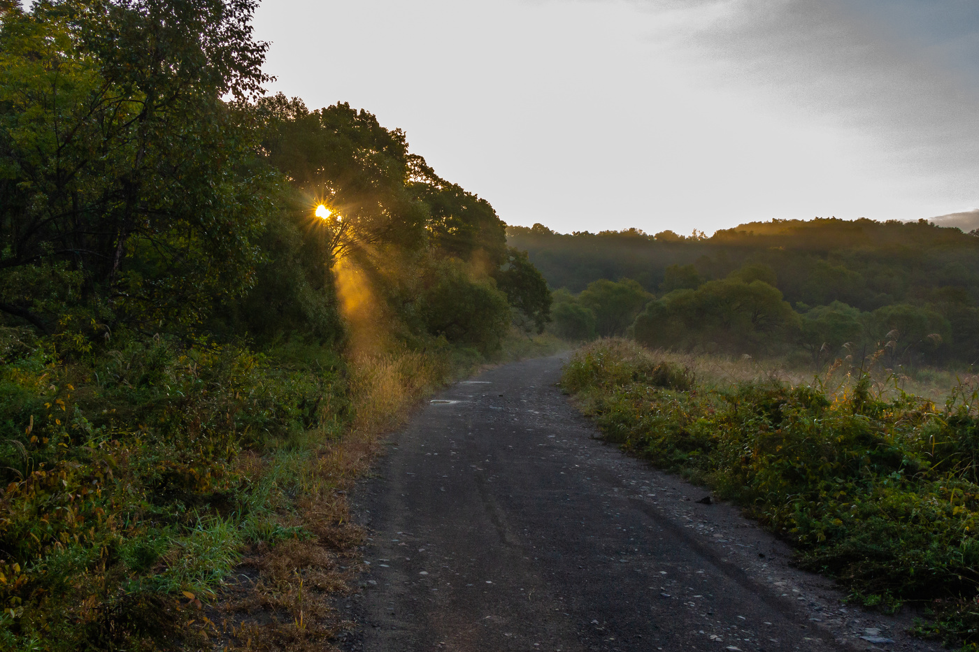 Dort, auf unbekannte Wege ...