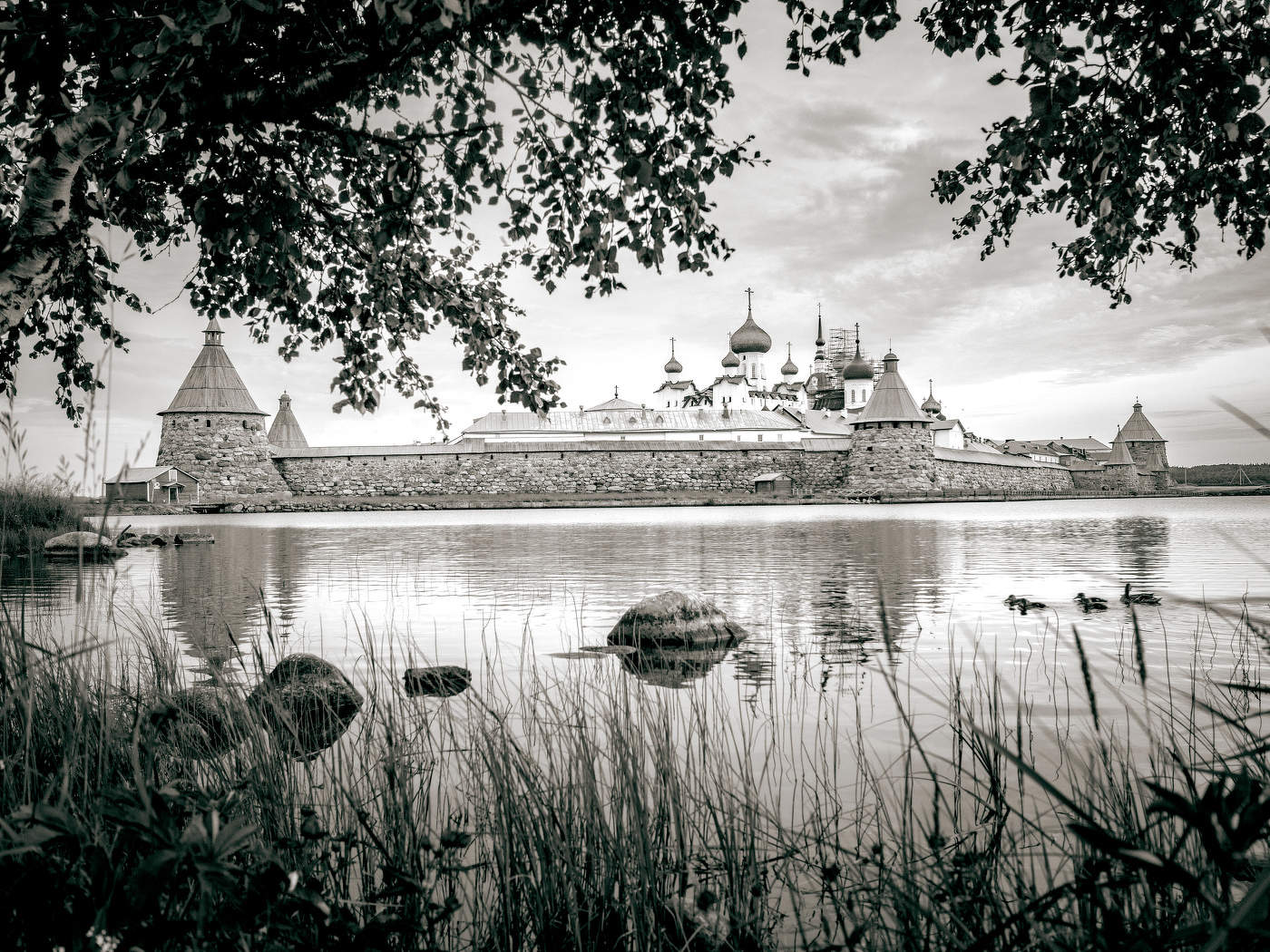 Solovkm