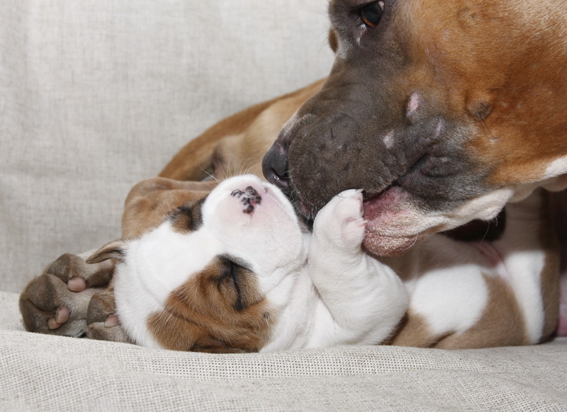 Superhuman Zärtlichkeit ...