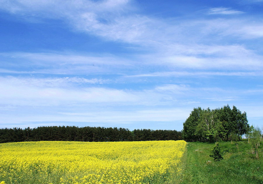 Letzter Tag des Frühlings ...