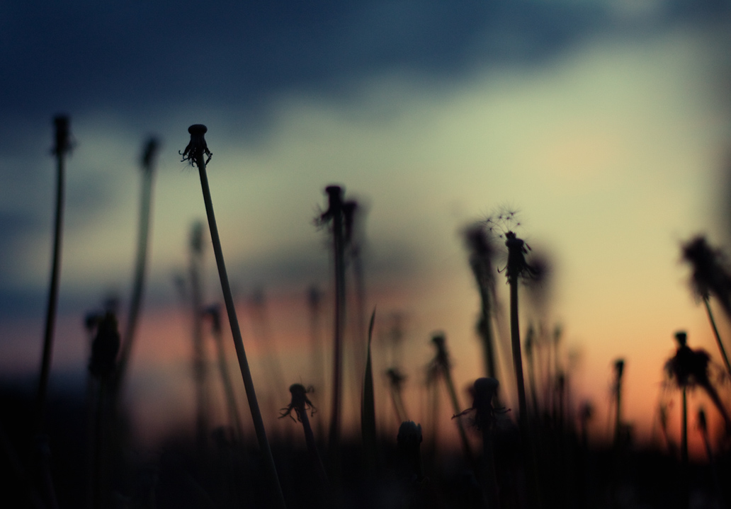 Bei Einbruch der Nacht