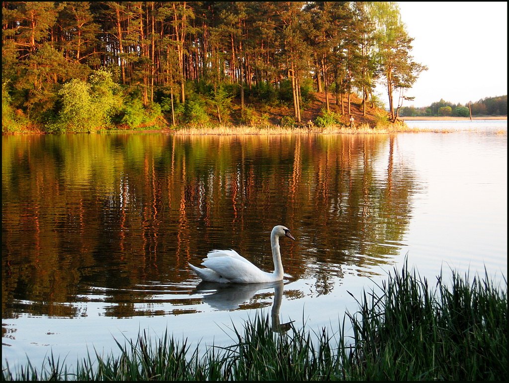 Auf der Suche nach Glück ...