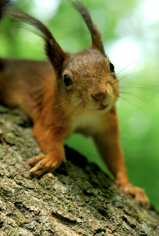 Wir werden uns treffen?