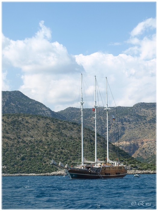 Er ging in das Meer.