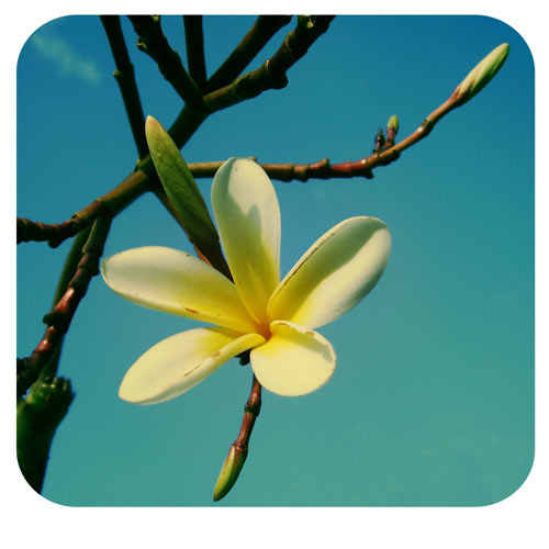 Himmel über Chennai