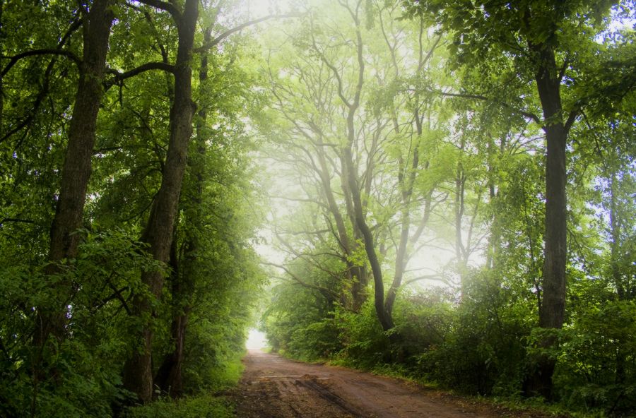 Der Weg zu meiner Kindheit ...