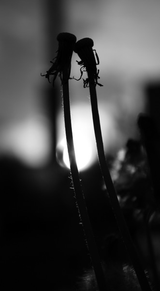 wenn du in der Nähe