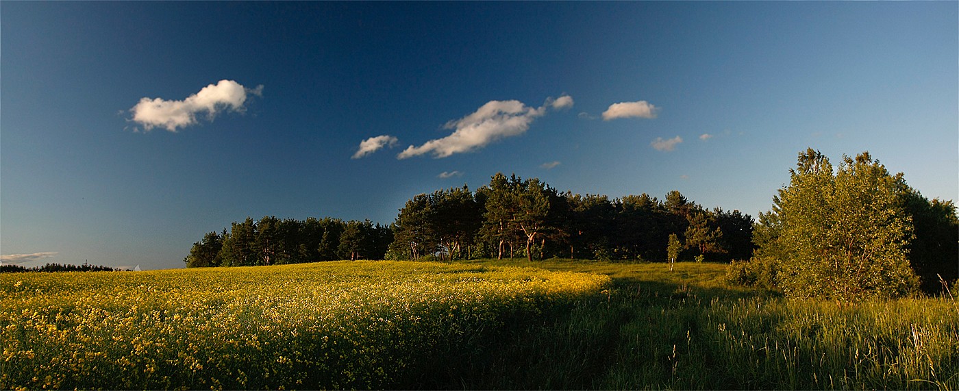 Ruhigen Abend ....... ......